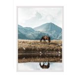 Postifull Highland Horse Çerçeveli Tablo, Beyaz Çerçeve Ve Poster, Duvar Tablosu Comfort Serisi No:108446;30 X 40 Beyaz Çerçeveli