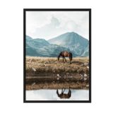 Postifull Highland Horse Çerçeveli Tablo, Siyah Çerçeve Ve Poster, Duvar Tablosu Comfort Serisi No:108446;10 X 15 Siyah Çerçeveli