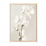 Postifull In Full Bloom Çerçeveli Tablo, Ahşap Çerçeve Ve Poster, Dikey Duvar Tablosu Comfort Serisi No:108434;10 X 15 Ahşap Çerçeveli