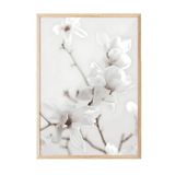 Postifull Magnolia Branch Çerçeveli Tablo, Ahşap Çerçeve Ve Poster, Duvar Tablosu Comfort Serisi No:108418;13 X 18 Ahşap Çerçeveli