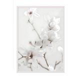 Postifull Magnolia Branch Çerçeveli Tablo, Beyaz Çerçeve Ve Poster, Duvar Tablosu Comfort Serisi No:108418;13 X 18 Beyaz Çerçeveli