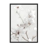 Postifull Magnolia Branch Çerçeveli Tablo, Siyah Çerçeve Ve Poster, Duvar Tablosu Comfort Serisi No:108418;70 X 100 Siyah Çerçeveli