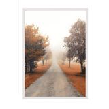 Postifull Misty Tree Alley Çerçeveli Tablo, Beyaz Çerçeve Ve Poster, Duvar Tablosu Comfort Serisi No:108353;10 X 15 Beyaz Çerçeveli