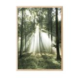 Postifull Morning Forest Çerçeveli Tablo, Ahşap Çerçeve Ve Poster, Duvar Tablosu Comfort Serisi No:108399;13 X 18 Ahşap Çerçeveli