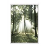 Postifull Morning Forest Çerçeveli Tablo, Beyaz Çerçeve Ve Poster, Duvar Tablosu Comfort Serisi No:108399;13 X 18 Beyaz Çerçeveli