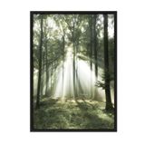 Postifull Morning Forest Çerçeveli Tablo, Siyah Çerçeve Ve Poster, Duvar Tablosu Comfort Serisi No:108399;10 X 15 Siyah Çerçeveli