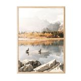 Postifull Morning Swim Çerçeveli Tablo, Ahşap Çerçeve Ve Poster, Dikey Duvar Tablosu Comfort Serisi No:108503;10 X 15 Ahşap Çerçeveli