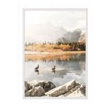 Postifull Morning Swim Çerçeveli Tablo, Beyaz Çerçeve Ve Poster, Dikey Duvar Tablosu Comfort Serisi No:108503;10 X 15 Beyaz Çerçeveli