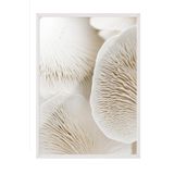 Postifull Mushroom Dream Çerçeveli Tablo, Beyaz Çerçeve Ve Poster, Duvar Tablosu Comfort Serisi No:108343;30 X 40 Beyaz Çerçeveli