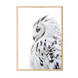 Postifull Owl Çerçeveli Tablo, Ahşap Çerçeve Ve Poster, Dikey Duvar Tablosu Comfort Serisi No:108301;13 X 18 Ahşap Çerçeveli