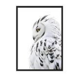 Postifull Owl Çerçeveli Tablo, Siyah Çerçeve Ve Poster, Dikey Duvar Tablosu Comfort Serisi No:108301;10 X 15 Siyah Çerçeveli