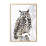 Postifull Owl İn Snowfall Yılbaşı Tablo, Ahşap Çerçeve Ve Poster, Duvar Tablosu Comfort Serisi No:108413;21 X 30 Ahşap Çerçeveli