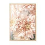 Postifull Pastel Dahlias Çerçeveli Tablo, Ahşap Çerçeve Ve Poster, Duvar Tablosu Comfort Serisi No:108388;10 X 15 Ahşap Çerçeveli