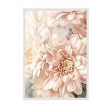 Postifull Pastel Dahlias Çerçeveli Tablo, Beyaz Çerçeve Ve Poster, Duvar Tablosu Comfort Serisi No:108388;50 X 70 Beyaz Çerçeveli