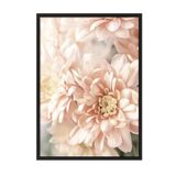 Postifull Pastel Dahlias Çerçeveli Tablo, Siyah Çerçeve Ve Poster, Duvar Tablosu Comfort Serisi No:108388;70 X 100 Siyah Çerçeveli