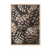 Postifull Pine Cones Çerçeveli Tablo, Ahşap Çerçeve Ve Poster, Dikey Duvar Tablosu Comfort Serisi No:108341;21 X 30 Ahşap Çerçeveli