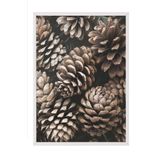 Postifull Pine Cones Çerçeveli Tablo, Beyaz Çerçeve Ve Poster, Dikey Duvar Tablosu Comfort Serisi No:108341;10 X 15 Beyaz Çerçeveli