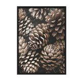 Postifull Pine Cones Çerçeveli Tablo, Siyah Çerçeve Ve Poster, Dikey Duvar Tablosu Comfort Serisi No:108341;13 X 18 Siyah Çerçeveli