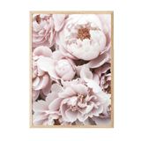 Postifull Pink Peony Dream Çerçeveli Tablo, Ahşap Çerçeve Ve Poster, Duvar Tablosu Comfort Serisi No:108369;13 X 18 Ahşap Çerçeveli