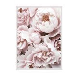 Postifull Pink Peony Dream Çerçeveli Tablo, Beyaz Çerçeve Ve Poster, Duvar Tablosu Comfort Serisi No:108369;13 X 18 Beyaz Çerçeveli