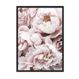 Postifull Pink Peony Dream Çerçeveli Tablo, Siyah Çerçeve Ve Poster, Duvar Tablosu Comfort Serisi No:108369;13 X 18 Siyah Çerçeveli