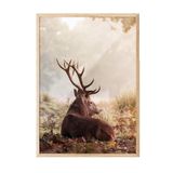 Postifull Red Deer Çerçeveli Tablo, Ahşap Çerçeve Ve Poster, Dikey Duvar Tablosu Comfort Serisi No:108351;33 X 48 Ahşap Çerçeveli
