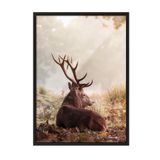 Postifull Red Deer Çerçeveli Tablo, Siyah Çerçeve Ve Poster, Dikey Duvar Tablosu Comfort Serisi No:108351;30 X 42 Siyah Çerçeveli
