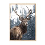 Postifull Red Deer İn Snow Çerçeveli Tablo, Ahşap Çerçeve Ve Poster, Duvar Tablosu Comfort Serisi No:108508;30 X 40 Ahşap Çerçeveli