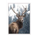 Postifull Red Deer İn Snow Çerçeveli Tablo, Beyaz Çerçeve Ve Poster, Duvar Tablosu Comfort Serisi No:108508;50 X 70 Beyaz Çerçeveli