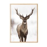Postifull Red Stag Yılbaşı Tablo, Ahşap Çerçeve Ve Poster, Dikey Duvar Tablosu Comfort Serisi No:108472;10 X 15 Ahşap Çerçeveli
