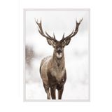 Postifull Red Stag Yılbaşı Tablo, Beyaz Çerçeve Ve Poster, Dikey Duvar Tablosu Comfort Serisi No:108472;10 X 15 Beyaz Çerçeveli