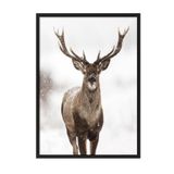 Postifull Red Stag Yılbaşı Tablo, Siyah Çerçeve Ve Poster, Dikey Duvar Tablosu Comfort Serisi No:108472;13 X 18 Siyah Çerçeveli