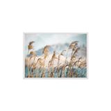 Postifull Reeds By The Lake Çerçeveli Tablo, Beyaz Çerçeve Ve Poster, Duvar Tablosu Comfort Serisi No:108444;13 X 18 Beyaz Çerçeveli