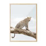 Postifull Resting Leopard Çerçeveli Tablo, Ahşap Çerçeve Ve Poster, Duvar Tablosu Comfort Serisi No:108465;13 X 18 Ahşap Çerçeveli