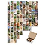 Postifull Retro Duvar Posteri Kolaj Set - 70 Adet - Estetik - Vintage Poster Seti - 10Cm*15Cm - Kutulu Set;