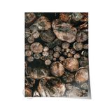 Postifull Rustic Çerçevesiz Poster, İskandinav Kahverengi Tablo, No:121 Yığın Halinde Odunlar Fotoğraf, Dikey;30 X 40 Renkli - 4