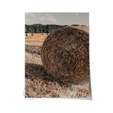 Postifull Rustic Çerçevesiz Poster, İskandinav Kahverengi Tablo, No:232 Saman Balyası Yakın Plan Fotoğraf;30 X 42 Renkli - 14