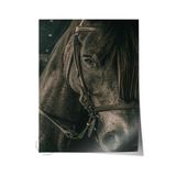 Postifull Rustic Çerçevesiz Poster, İskandinav Kahverengi Tablo, No:247 At Yakın Plan Fotoğraf, Dikey;15 X 21 Renkli - 3