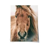 Postifull Rustic Çerçevesiz Poster, İskandinav Kahverengi Tablo, No:398 At Fotoğraf, Yatay;30 X 40 Renkli - 3