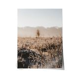 Postifull Rustic Çerçevesiz Poster, Iskandinav Kahverengi Tablo, No:473 Doğa Fotoğraf;50 X 70 Renkli - 3