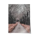 Postifull Rustic Çerçevesiz Poster, İskandinav Kahverengi Tablo, No:94 Orman Yolu Fotoğraf, Dikey;30 X 40 Renkli - 3