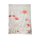 Postifull Rustic Çerçevesiz Poster, İskandinav Kırmızı Tablo, No:324 Gelincikler Fotoğraf, Dikey;70 X 100 Renkli - 4