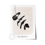 Postifull Siyah Beyaz Boho Duvar Dekoru, Çerçevesiz Poster, Çerçevesiz Duvar Tablosu - Fine Art Kağıt;50 X 70 Renkli - 18