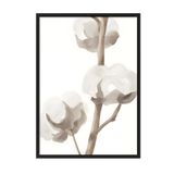 Postifull Siyah Çerçeveli Tablo, Poster Ve Çerçeve Seti, Aquarelle Cotton Flowers Comfort Serisi No:108584;70 X 100 Siyah Çerçeveli