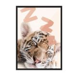 Postifull Sleeping Baby Tiger Çerçeveli Tablo, Siyah Çerçeve Ve Poster, Duvar Tablosu Comfort Serisi No:108441;70 X 100 Siyah Çerçeveli