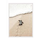 Postifull Small Beach Turtle Çerçeveli Tablo, Beyaz Çerçeve Ve Poster, Duvar Tablosu Comfort Serisi No:108420;30 X 40 Beyaz Çerçeveli