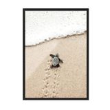 Postifull Small Beach Turtle Çerçeveli Tablo, Siyah Çerçeve Ve Poster, Duvar Tablosu Comfort Serisi No:108420;10 X 15 Siyah Çerçeveli