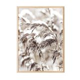 Postifull Snowy Reed Yılbaşı Tablo, Ahşap Çerçeve Ve Poster, Dikey Duvar Tablosu Comfort Serisi No:108411;50 X 70 Ahşap Çerçeveli