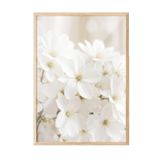 Postifull Soft White Bloom Çerçeveli Tablo, Ahşap Çerçeve Ve Poster, Duvar Tablosu Comfort Serisi No:108344;33 X 48 Ahşap Çerçeveli