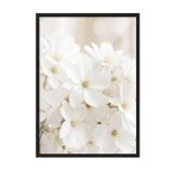 Postifull Soft White Bloom Çerçeveli Tablo, Siyah Çerçeve Ve Poster, Duvar Tablosu Comfort Serisi No:108344;70 X 100 Siyah Çerçeveli